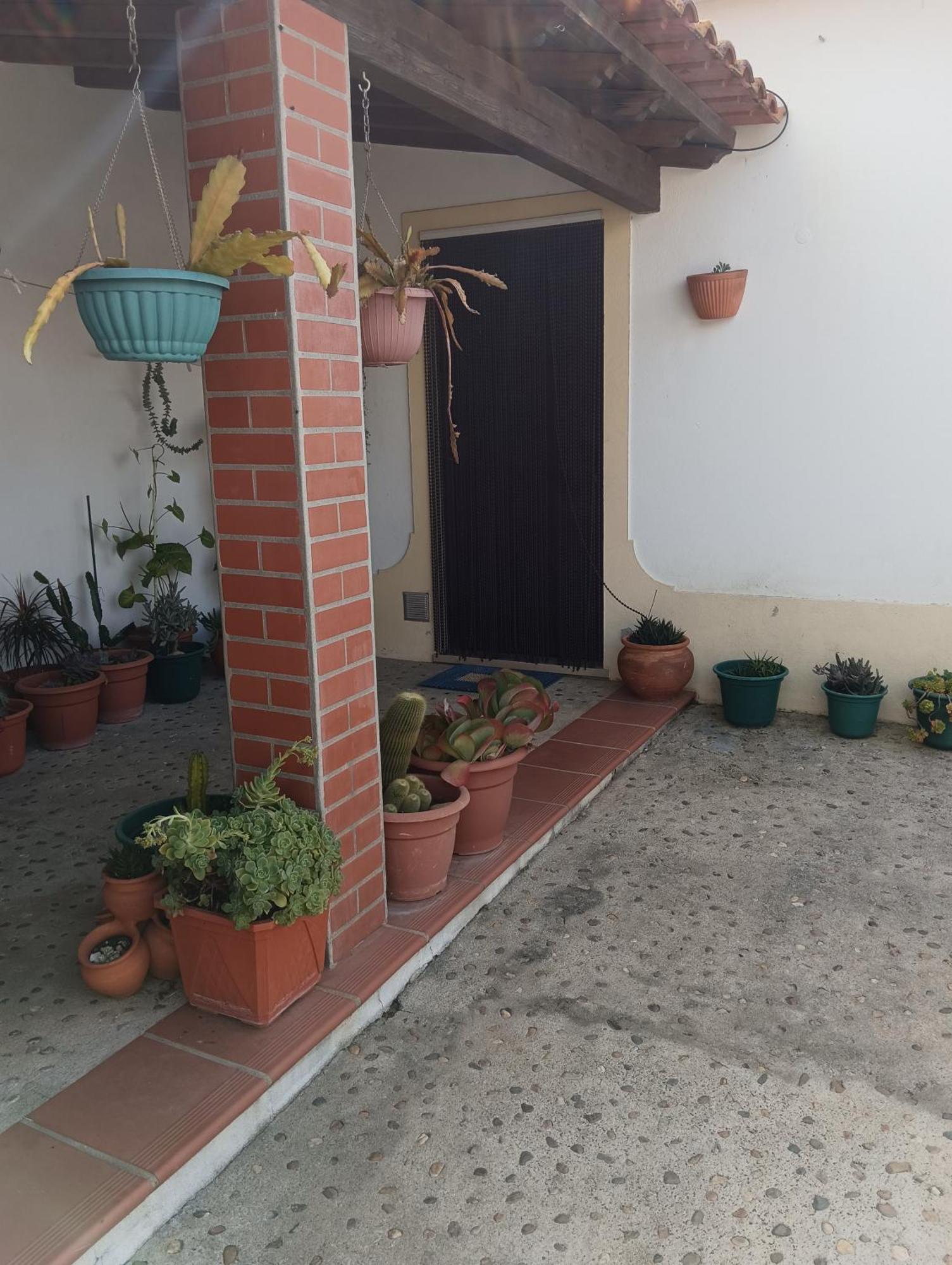Cantinho Da Susy Golegã Dış mekan fotoğraf